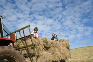 Haymaking on the Farm